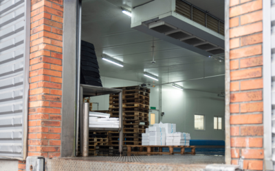 CR Frigor: Soluzioni di Eccellenza per Impianti di Celle Frigorifere Aziendali