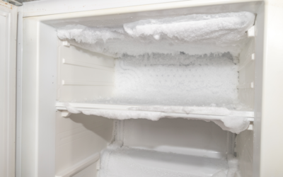 Formazione di Ghiaccio nel Frigorifero: Cause e Strategie Efficaci per Prevenirla